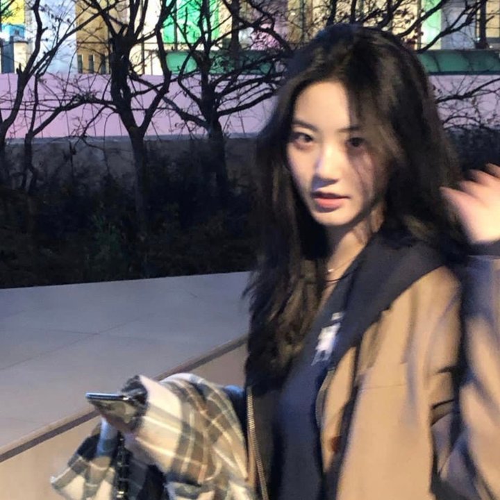 盗贼泰瑞莎